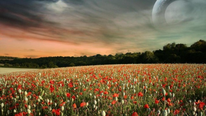 马上领证了,发现男朋友离不了游戏,让他少打游戏他会非常生气,正常吗?